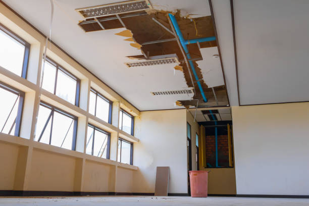 Best Fire Damage Restoration  in Mcdonald, OH