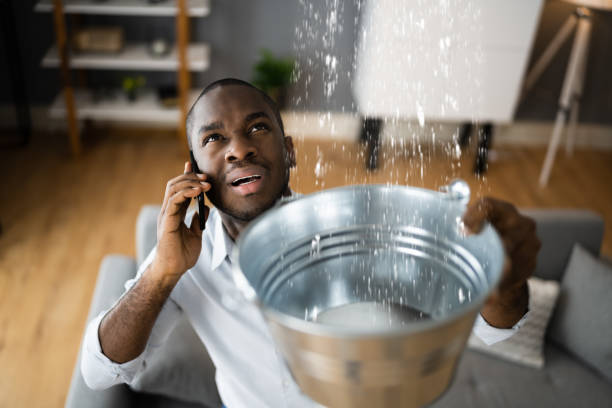 Best Residential water damage restoration  in Mcdonald, OH