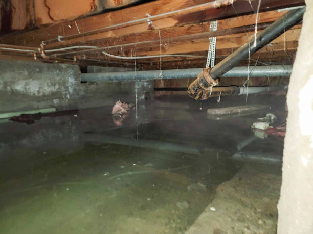 Best Residential water damage restoration  in Mcdonald, OH