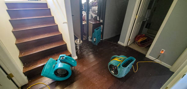 Best 24/7 water damage repair  in Mcdonald, OH