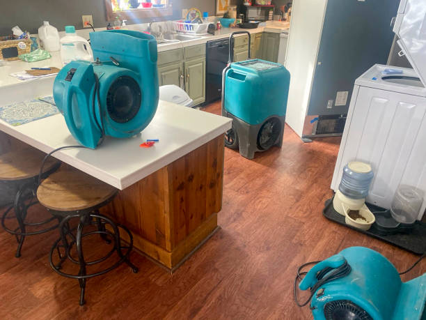 Best Water damage restoration specialists  in Mcdonald, OH