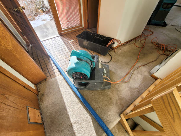 Best Flooded house restoration  in Mcdonald, OH
