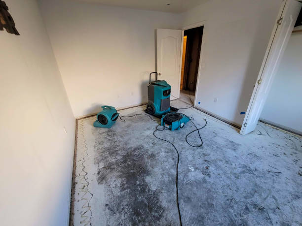 Best Flood damage cleanup  in Mcdonald, OH