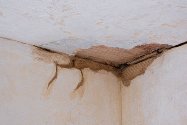  Mcdonald, OH Water damage restoration Pros