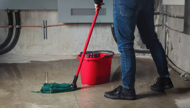 Best Professional water damage repair  in Mcdonald, OH