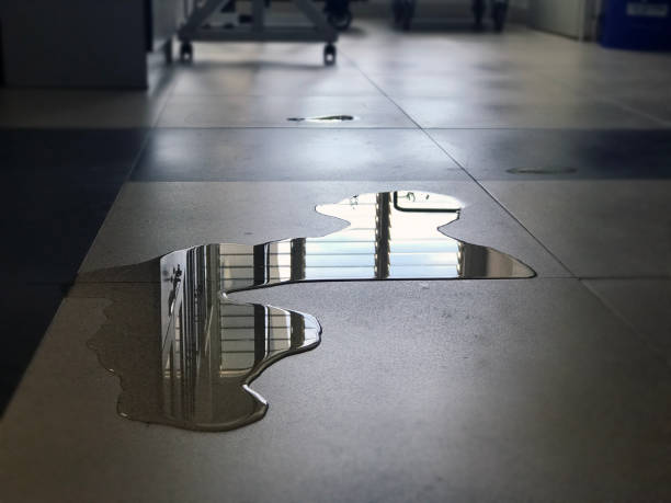 Best Ceiling water damage repair  in Mcdonald, OH