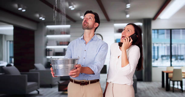 Best Mold removal after water damage  in Mcdonald, OH