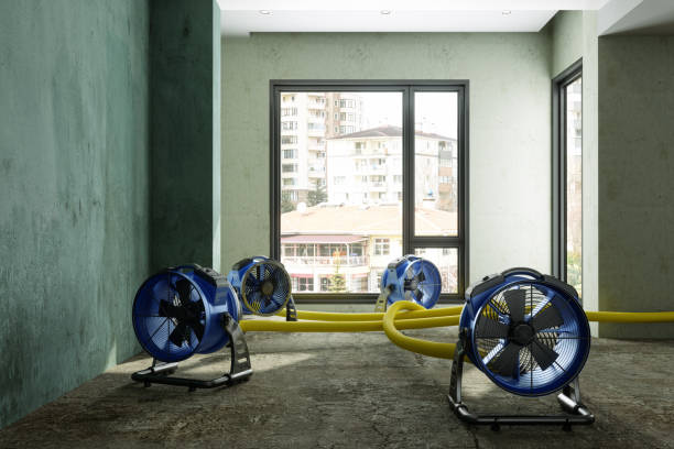 Best Water damage contractors near me  in Mcdonald, OH