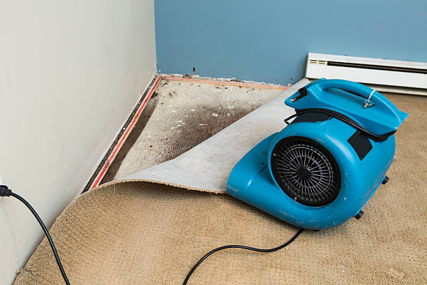 Best Flooded house restoration  in Mcdonald, OH